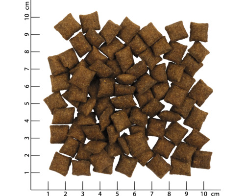 Trockenfutter für Hunde in quadratischer Form