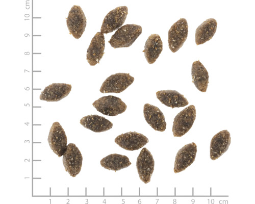 Braunes Trockenfutter für Hunde auf Messskala