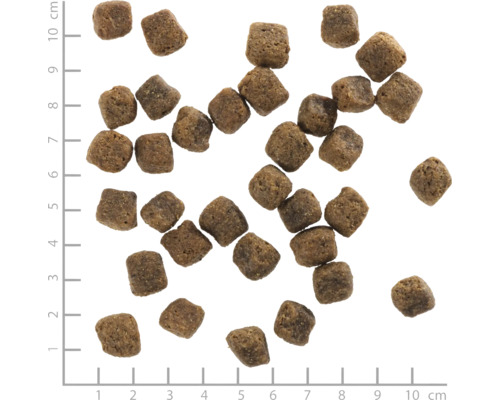 Braunes, quadratisches Trockenfutter für Hunde