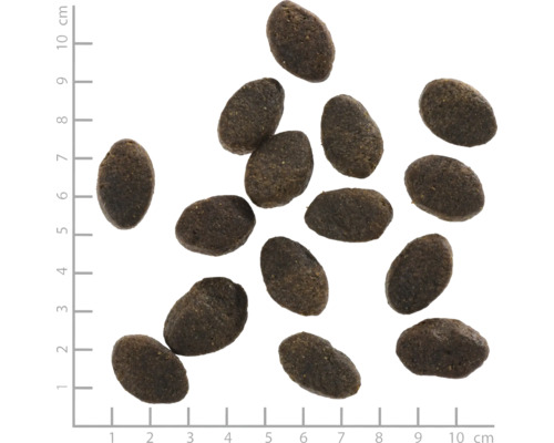 Nahaufnahme von Hunde Trockenfutter