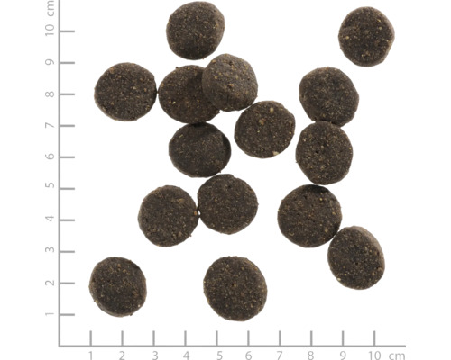 Braunes, rundes Hundefutter mit Zentimeter-Skala
