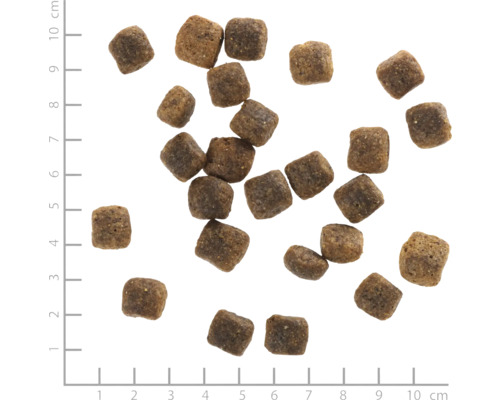 Quadratisches Hundefutter auf einem weißen Untergrund