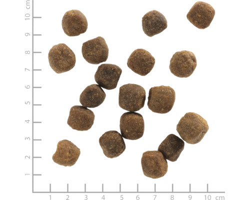 Hundefutter-Pellets auf einem Raster mit Zentimeterangaben