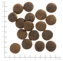 Hundefutter trocken WOLFSBLUT Red Rock, Känguru mit Kürbis mit wertvollen Superfoods, getreidefrei, Glutenfrei 2 kg-thumb-4 Hundefutter trocken WOLFSBLUT Red Rock, Känguru mit Kürbis mit wertvollen Superfoods, getreidefrei, Glutenfrei 2 kg-thumb-4