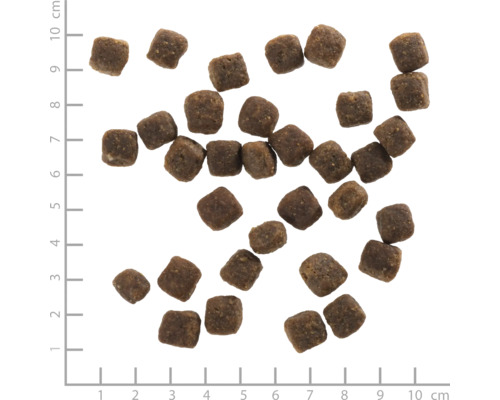 Braunes, trockenes Hundefutter mit Zentimeterskala