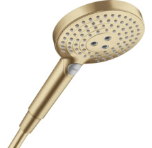 Handbrause hansgrohe Raindance Select S 120 Eco Rund Ø 125 mm 3-fach verstellbar bronze
