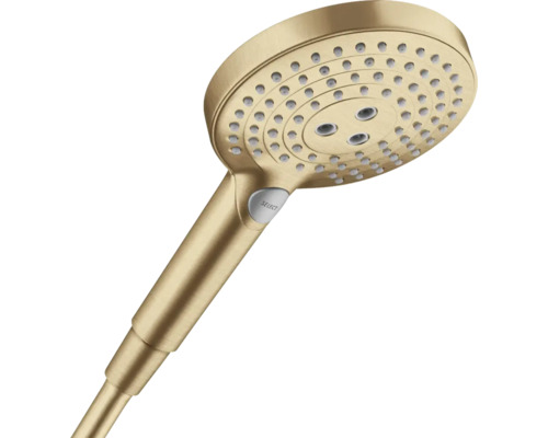 Handbrause hansgrohe Raindance Select S 120 Eco Rund Ø 125 mm 3-fach verstellbar bronze