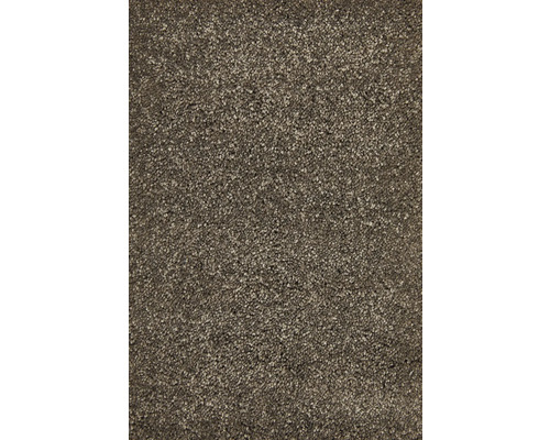 Teppichboden Shaggy Proteus Econyl® schlamm FB49 500 cm breit (Meterware) Nahaufnahme eines Teppichs