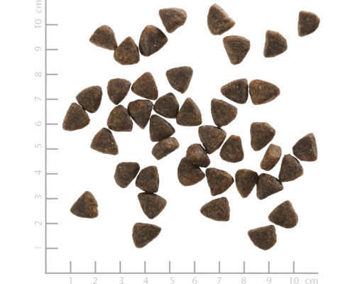 Trockenfutter für Hunde in dreieckiger Form