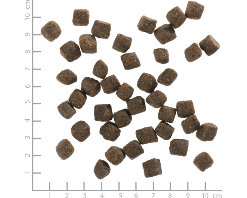 Quadratisches Hundefutter auf einem Messlineal