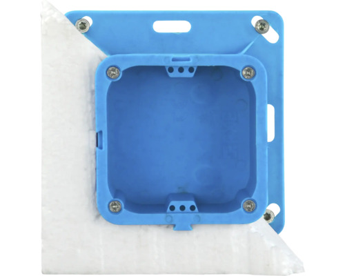 Unterputzdose mit Schrauben zur Wandmontage