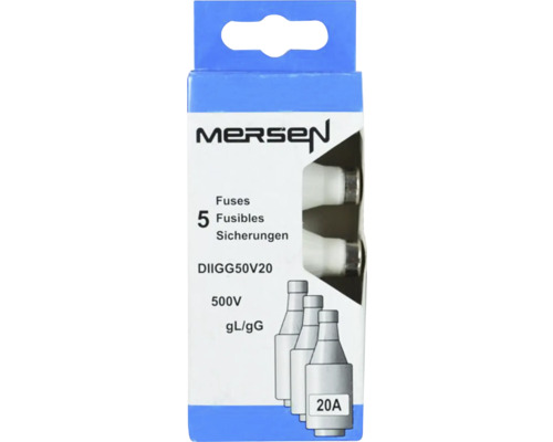 Mersen DII GG50V20 Sicherungen, 5 Stück, 500V
