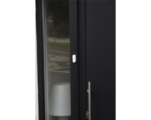 Tür mit Fenster und Einbruchmelder