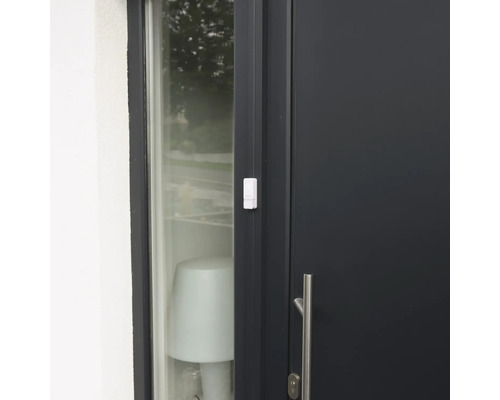 Fenster mit Tür und Fensterkontaktsensor