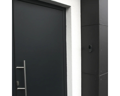 Moderne Haustür mit Edelstahlgriff und Gegensprechanlage