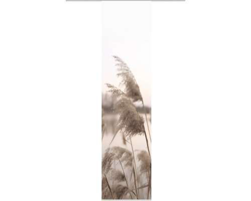 Flächenvorhang Digitaldruck Trawy natur 60x245 cm