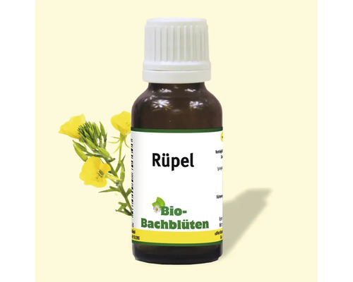 Bachblüten-Essenz Rüpel in brauner Glasflasche
