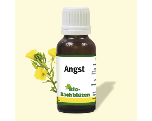 Bachblüten Essenz Angst in Braunglasflasche