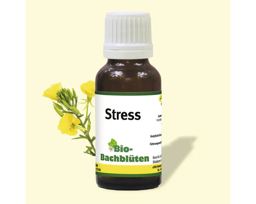 Bio Bachblüten Stress Tropfen in brauner Glasflasche