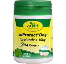 cdVet cdProtect Dog Kapseln für Hunde über 10 Kilogramm, 24 Stück