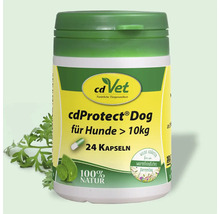 cdVet cdProtect Dog Kapseln für Hunde ab 10 Kilogramm, 24 Stück