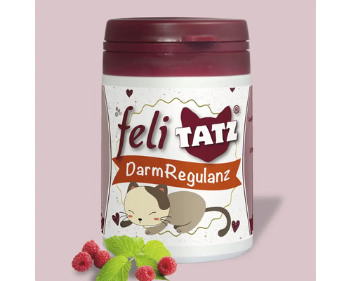 Feli Tatz Darmregulanz für Katzen