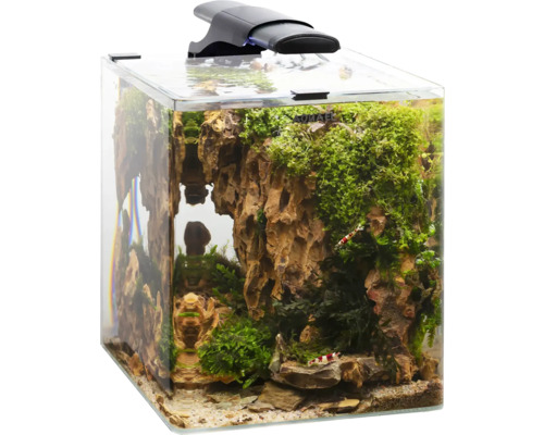 Eingerichtetes Aquael Aquarium mit Beleuchtung, Steinen, Pflanzen und Garnelen