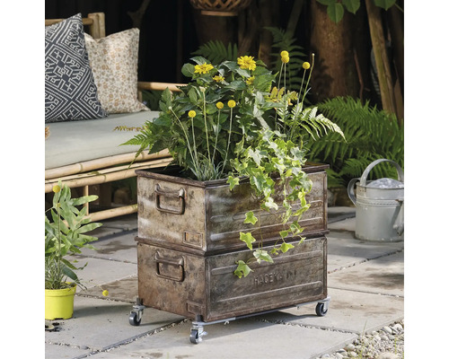 Pflanzgefäß aus Metall im Vintage-Stil auf Rollen mit Bepflanzung
