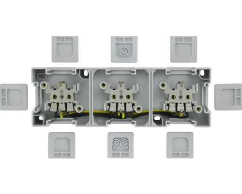 Dreifach-Unterputzdose mit Kabeleinführungen und Klemmen