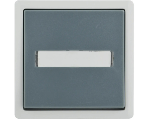 Schaltereinsatz mit Sichtfenster