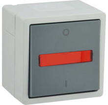 Feuchtraum Kontroll-Ausschalter e2 mit LED Kontrolllampe aufputz, IP44, grau-thumb-1