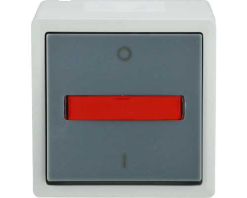 Feuchtraum Kontroll-Ausschalter e2 mit LED Kontrolllampe aufputz, IP44, grau-0