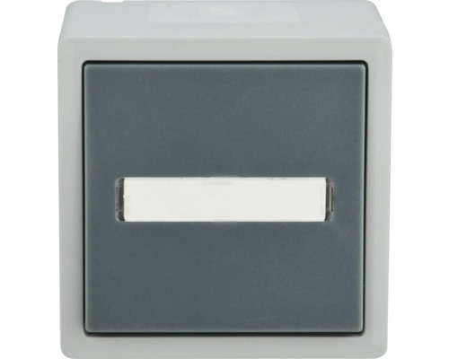 Schaltereinsatz mit Beschriftungsfeld