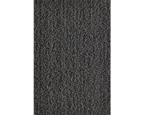 Teppichboden Shag Softness anthrazit 400 cm breit (Meterware) Teppichboden Shag Softness anthrazit 400 cm breit (Meterware)
