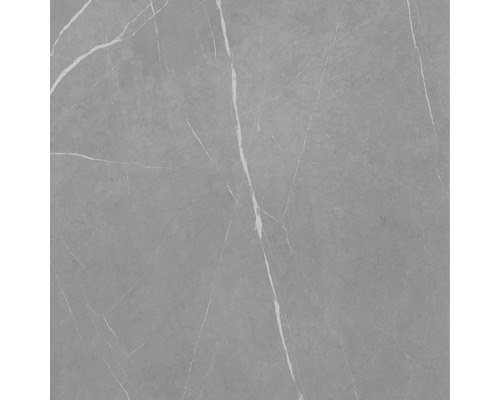 Graue Fliese mit Marmoroptik