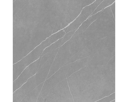 Graue Fliese mit Marmoroptik und Maserung