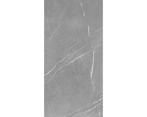 Feinsteinzeug Bodenfliese Navas 60x120 cm grau matt rektifiziert