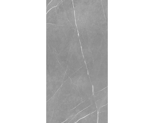 Graue Fliese mit Marmoroptik