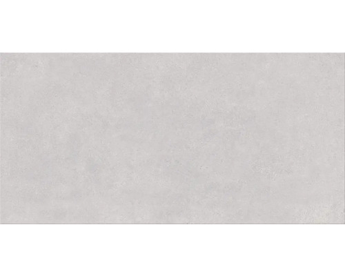Steingut Wandfliese Vilma 29,8x59,8 cm grau glossy