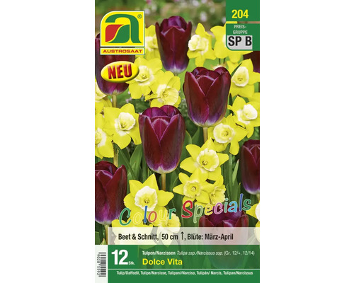 Blumenzwiebel Tulpe Colour Special 'Perennial Blend' 15 Stk