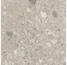 Feinsteinzeug Bodenfliese Hedon 59,8x59,8 cm grau matt rektifiziert