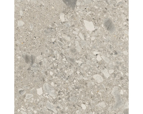 Feinsteinzeug Bodenfliese Hedon 59,8x59,8 cm grau matt rektifiziert Nahaufnahme einer Terrazzoplatte mit Steindekor