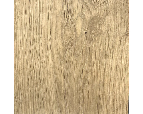 Holzstruktur, Detailaufnahme