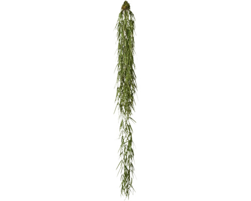 Kunstpflanze Hoya Höhe: 120 cm grün