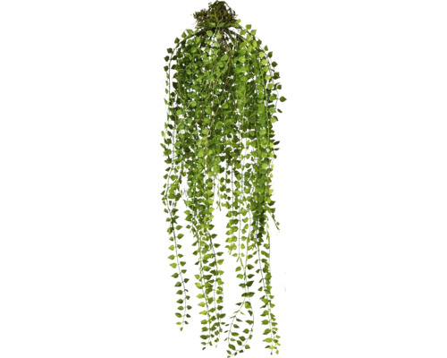 Kunstpflanze Columnea Höhe: 70 cm grün