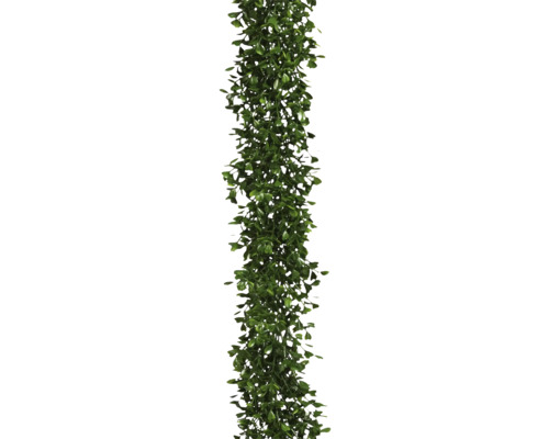 Kunstpflanzen-Girlande Buchs 10 cm Länge: 180 cm grün