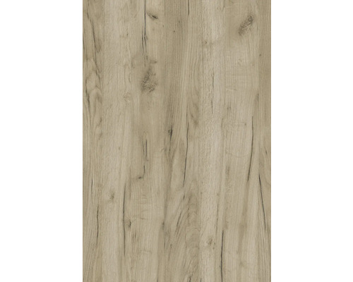 PICCANTE Küchenarbeitsplatte C974 SQ Grey Craft Oak 4100x635x40 mm