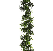 Kunstpflanzen-Girlande Buchs 8 cm Länge: 150 cm grün