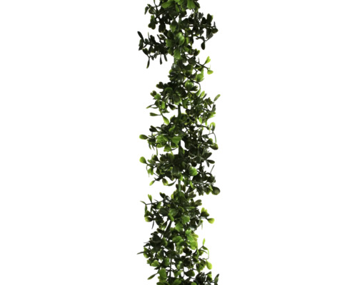 grün AT Kunstpflanzen-Girlande 8 cm | Länge: HORNBACH 150 Buchs cm
