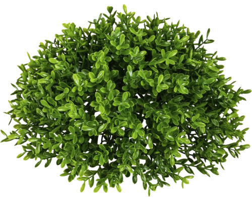 Kunstpflanze Teeblatt-Halbkugel Ø 28 cm grün 2 Stück